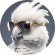 franz_catania99
